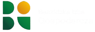 CCI Partner