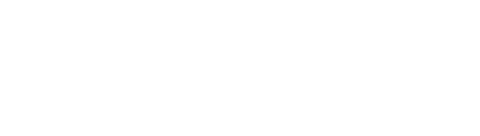 Shopify Partner