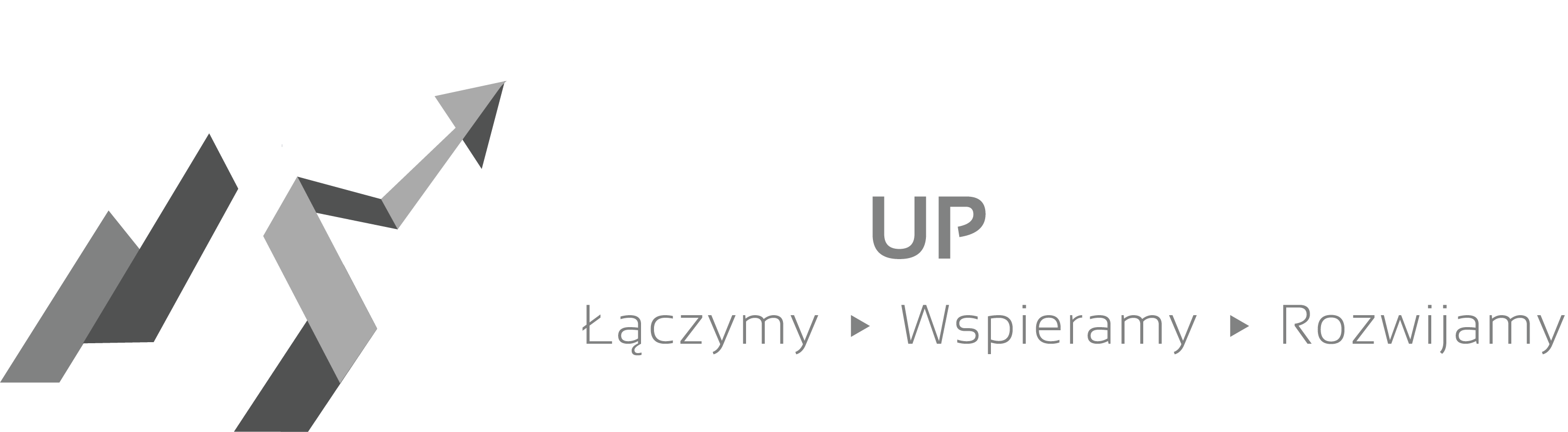 Startup Podbeskidzie Partner